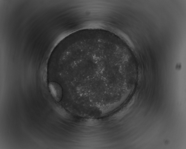 X0000102811226200809081101