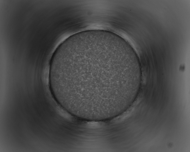 X0000102811227200809081101