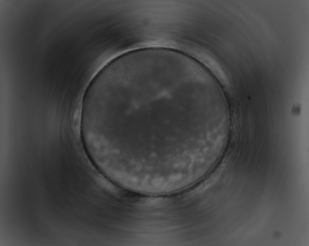 X0000102811228200809081101