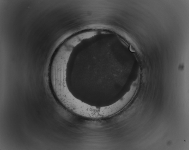 X0000102811229200809081101