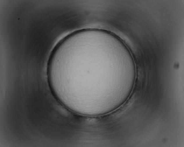 X0000102811230200809081101