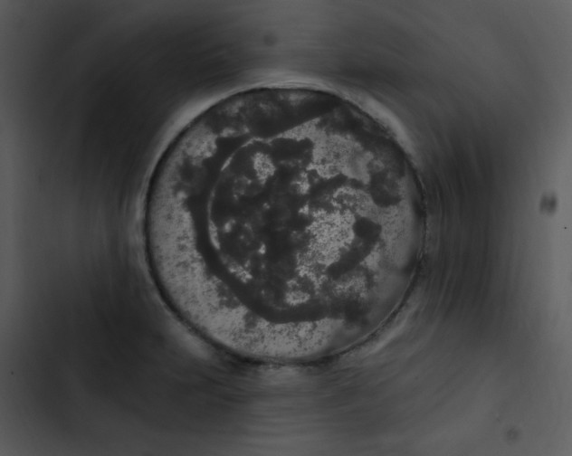 X0000102811231200809081101