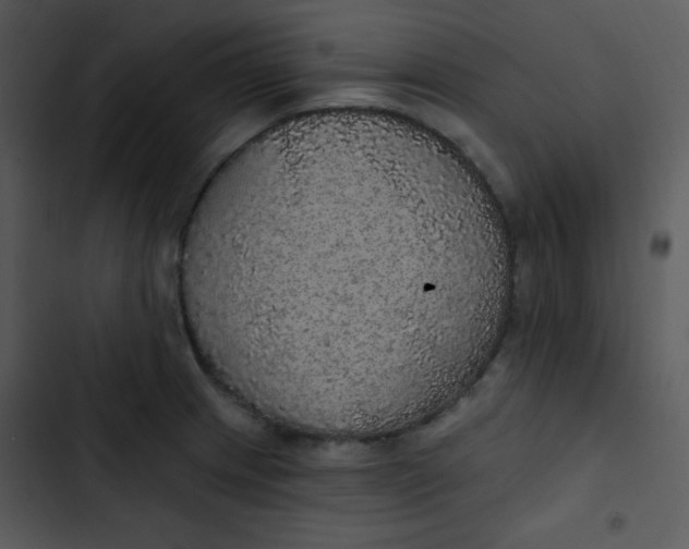 X0000102811233200809081101