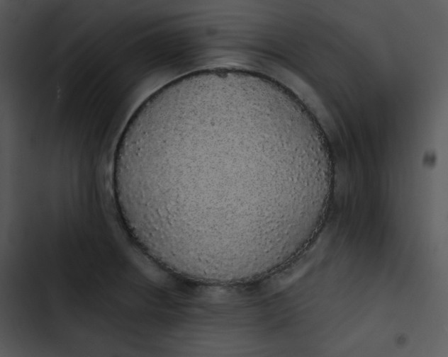 X0000102811234200809081101