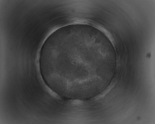 X0000102811235200809081101