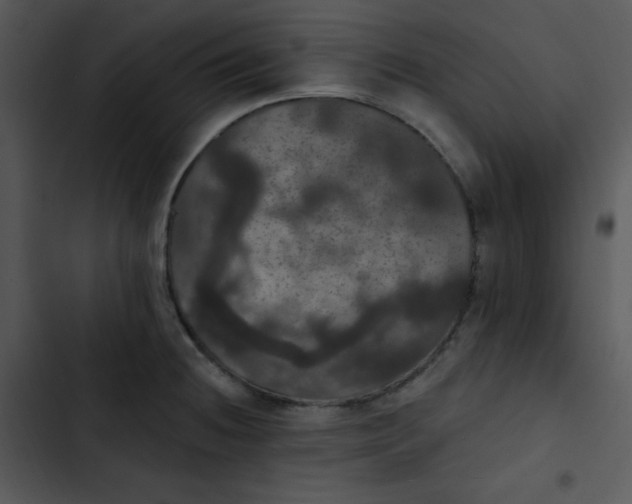 X0000102811236200809081101