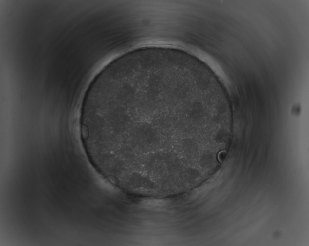 X0000102811237200809081101