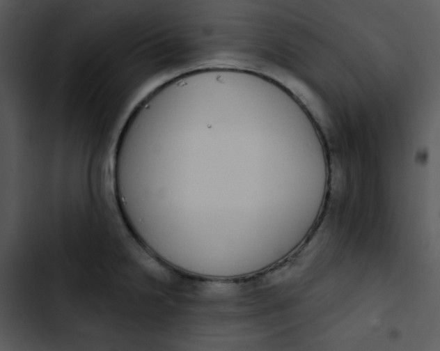 X0000102811238200809081101