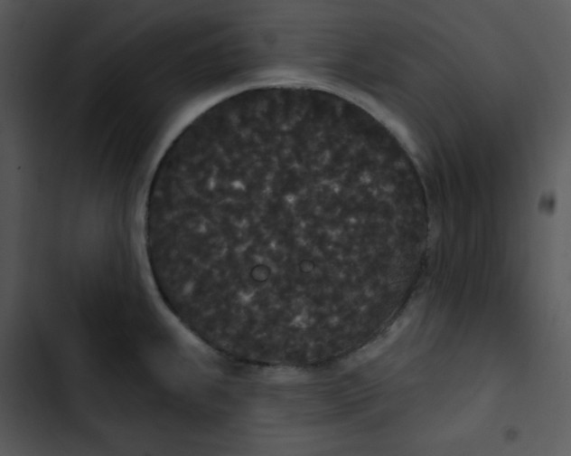 X0000102811239200809081101