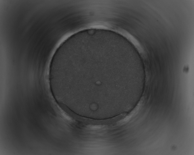 X0000102811240200809081101