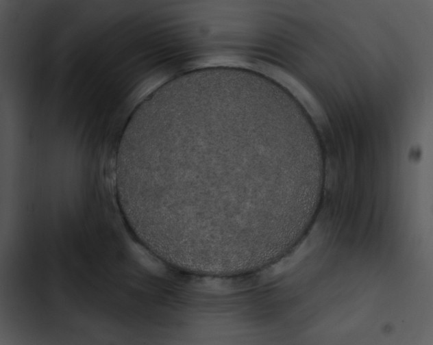 X0000102811241200809081101