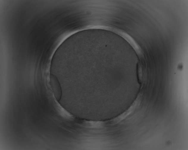 X0000102811244200809081101