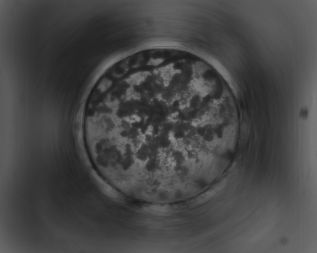 X0000102811245200809081101