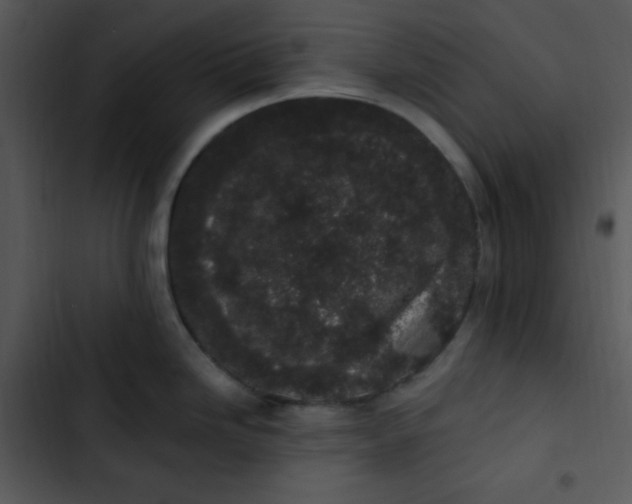 X0000102811246200809081101