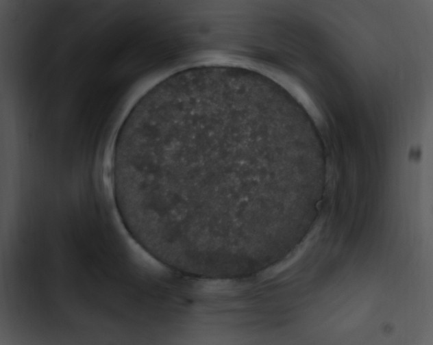 X0000102811247200809081101