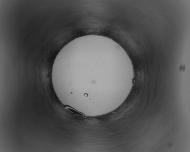 X0000102811250200809081100