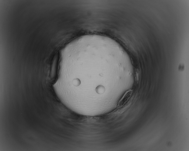 X0000102811251200809081100