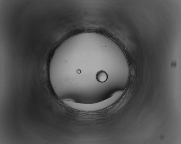 X0000102811252200809081100