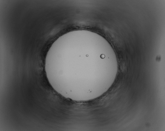 X0000102811253200809081100