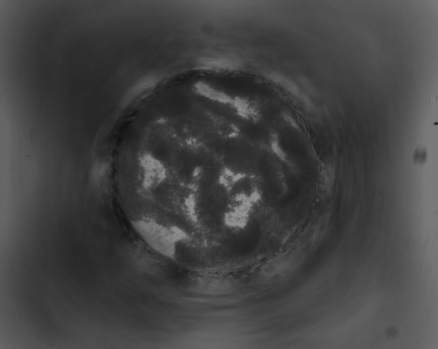 X0000102811254200809081100