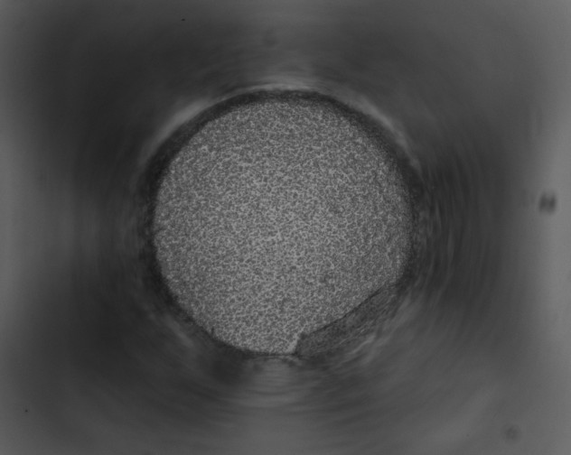 X0000102811255200809081100