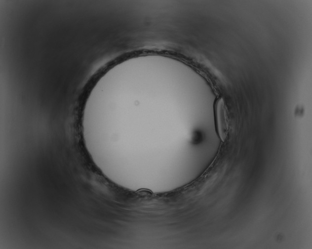 X0000102811256200809081100