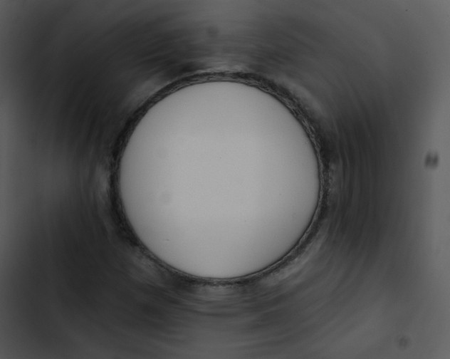 X0000102811257200809081100