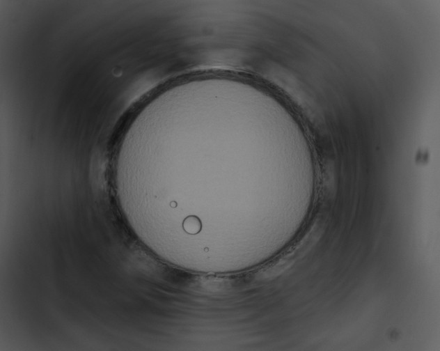 X0000102811258200809081100