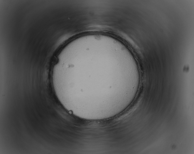 X0000102811259200809081100