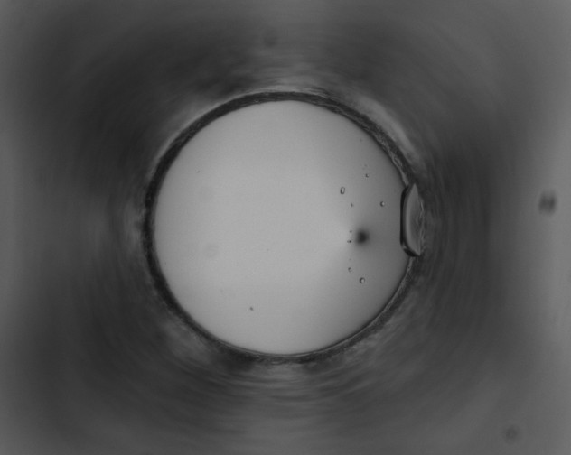 X0000102811260200809081100