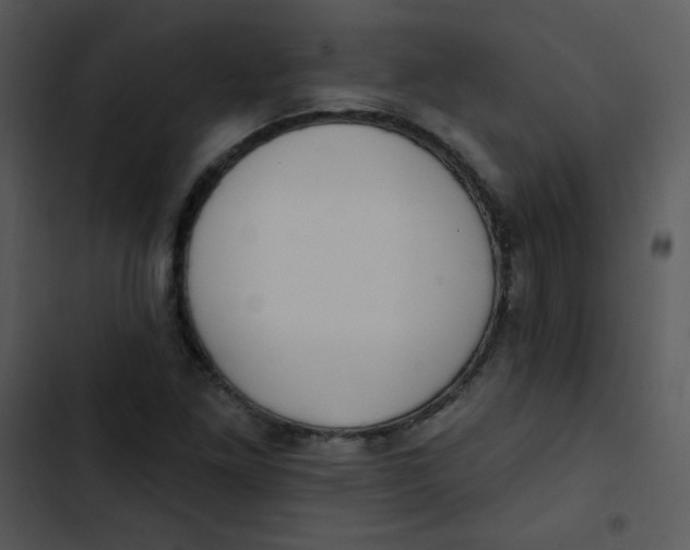 X0000102811261200809081100