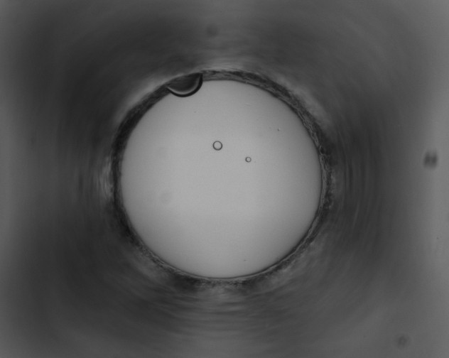 X0000102811262200809081100