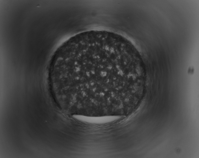 X0000102811263200809081100