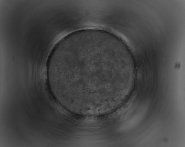 X0000102811267200809081100