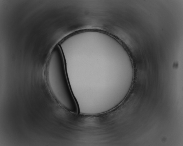 X0000102811268200809081100