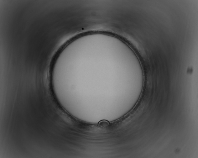 X0000102811270200809081100