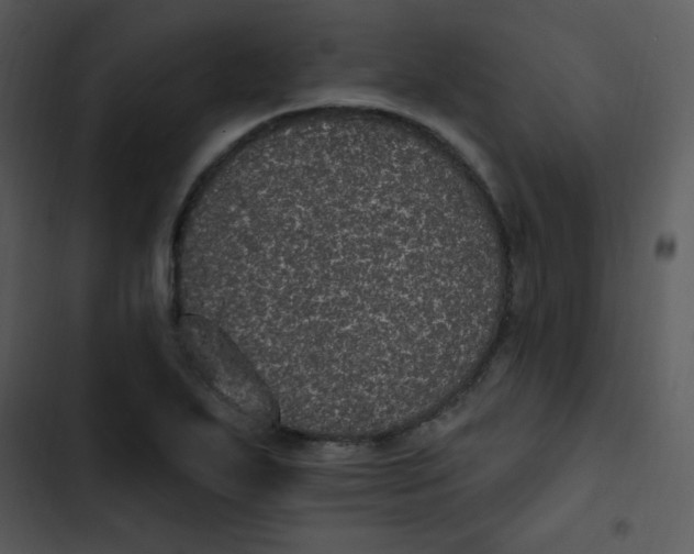 X0000102811271200809081100