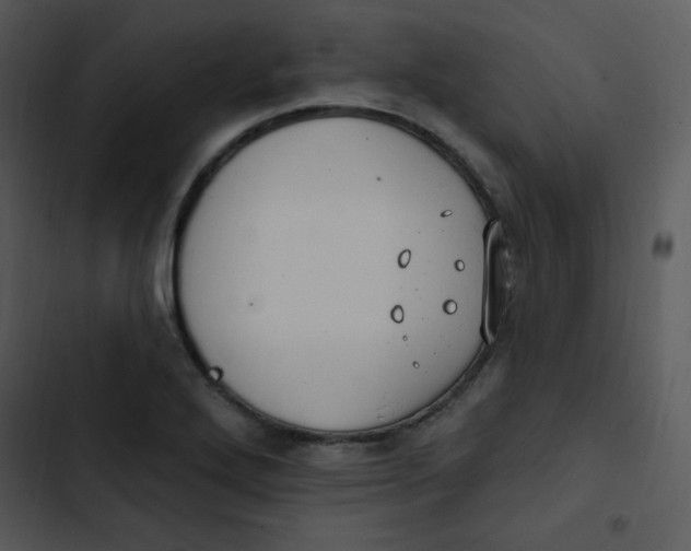 X0000102811272200809081100