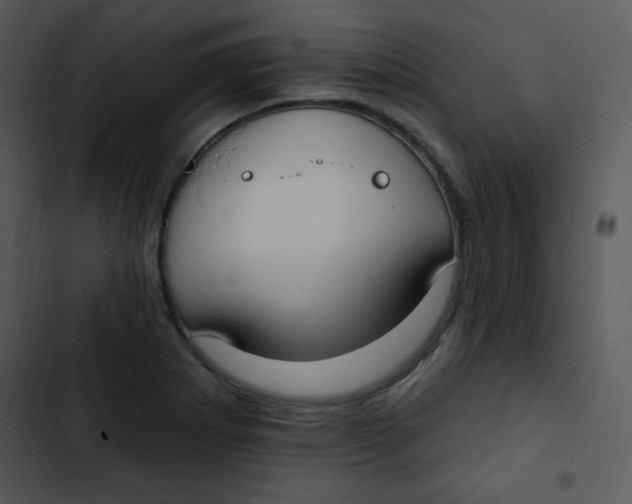 X0000102811273200809081100