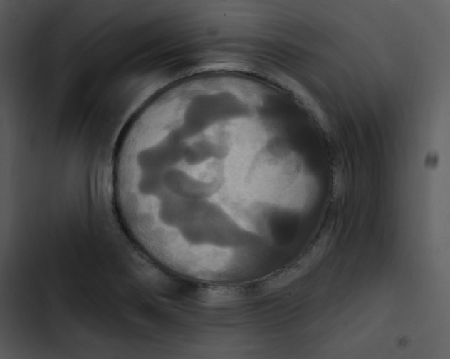 X0000102811274200809081100