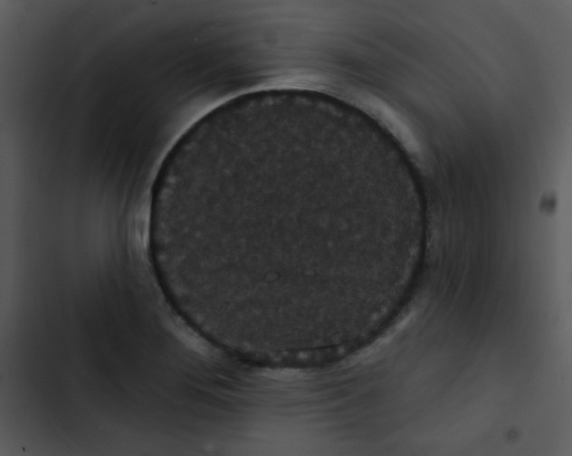 X0000102811276200809081100