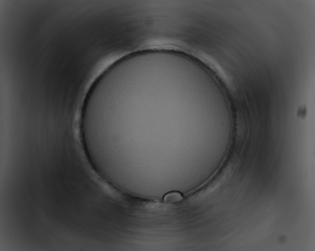 X0000102811277200809081100