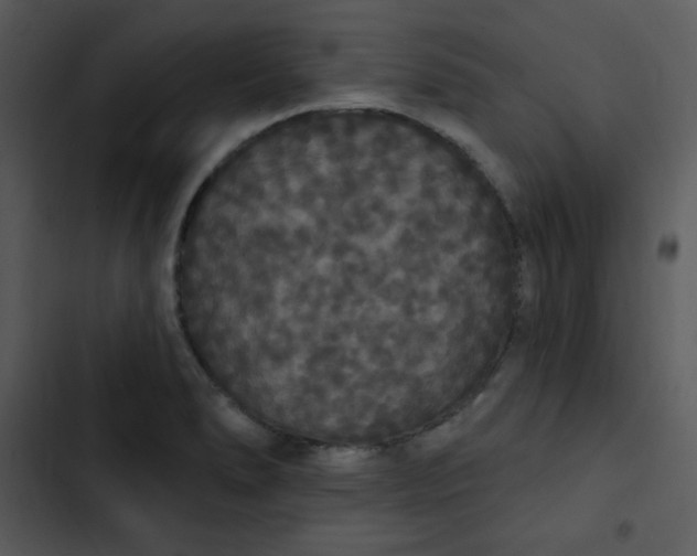 X0000102811278200809081100