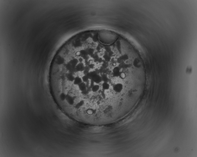 X0000102811279200809081100