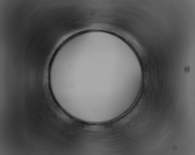 X0000102811280200809081100