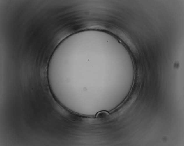 X0000102811281200809081100