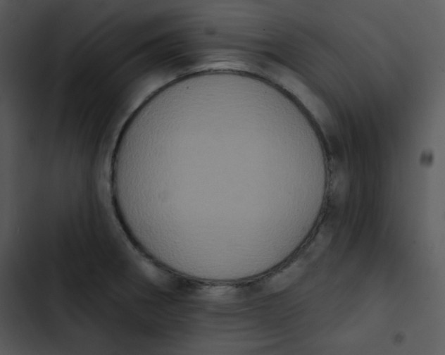 X0000102811282200809081100