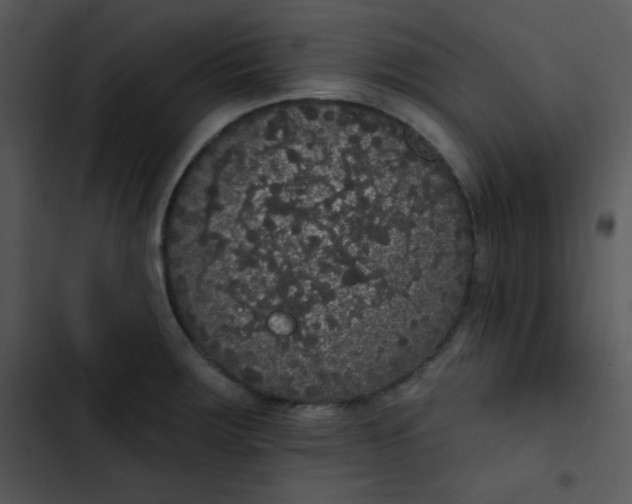 X0000102811283200809081100