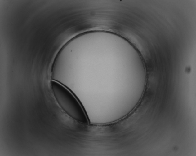 X0000102811284200809081100