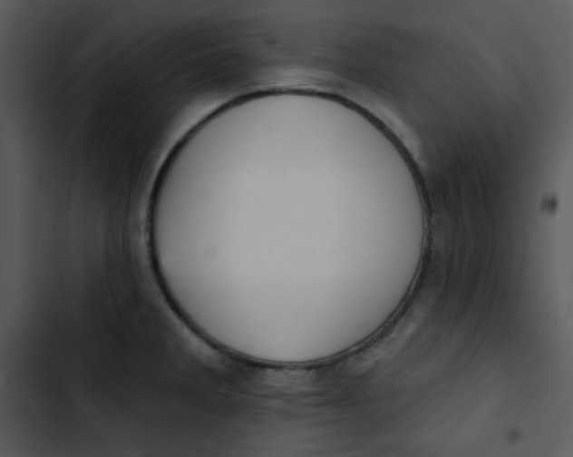 X0000102811285200809081100